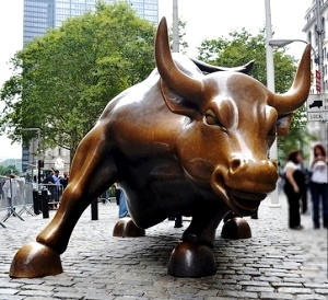 bull-trading-definition